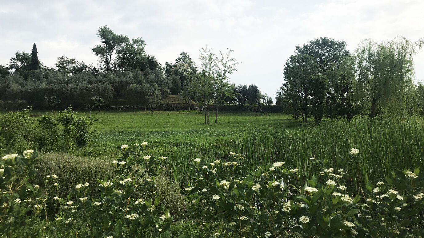 studio maggiore architettura progettazione landscape parco